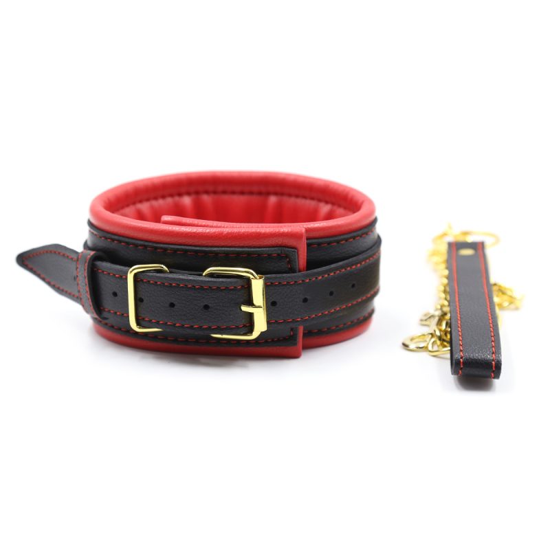 'Control Me'- Collar And Leash Set